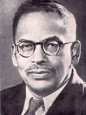 উক্তিটি নিয়ে অনিল বরণ রায় নামের এক হিন্দুত্ববাদী ব্যক্তি জলঘোলা করা শুরু করলে, এর ব্যাখ্যায় মেঘনাদ সাহা যা বললেন, তা এক কথায় মণিমাণিক্য 