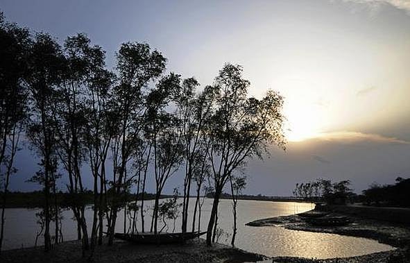 বায়ুমণ্ডল থেকে কার্বন শুষে নিয়ে বৈশ্বিক জলবায়ু পরিবর্তন নিবৃত্তিতেও এই সুন্দরবন ভূমিকা পালন করছে বায়ুমণ্ডল থেকে কার্বন শুষে নিয়ে বৈশ্বিক জলবায়ু পরিবর্তন নিবৃত্তিতেও এই সুন্দরবন ভূমিকা পালন করছে