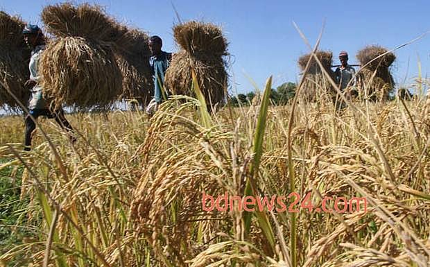 সাধারণভাবে দেখা যায় বামপন্থীরা একে 'গরীব মারার বাজেট' হিসেবে আখ্যায়িত করেন 