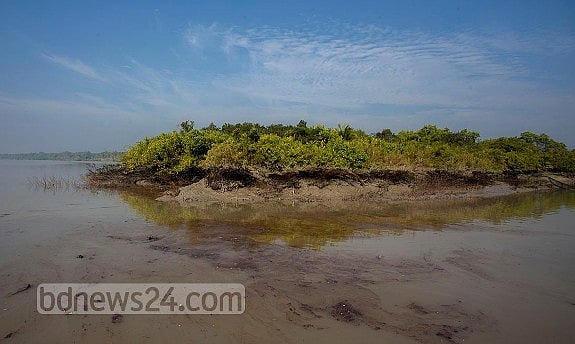 সুন্দরবনের ম্যানগ্রোভ কী অবস্থায় রয়েছে, স্যাটেলাইট ইমেজ পেশ করে তা জানাতে সরকারকে নির্দেশ দিয়েছে ভারতের পরিবেশ আদালত 