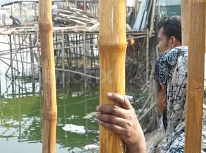 Photo courtesy: Probir Bidhan 