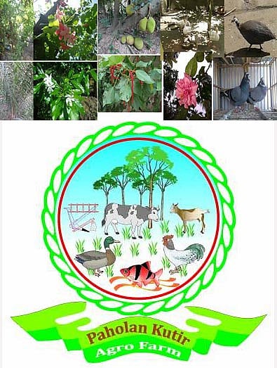 বাংলাদেশের অর্থনীতিতে ব্যাপক বিস্ফোরণ ও রপ্তানি বাজারে বড় সম্ভাবনাময় খাত কৃষি