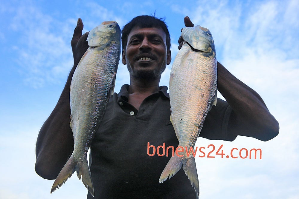 ইলিশ রপ্তানি এখনই নয়