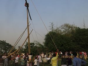 শক্ত-লম্বা-ভারী গাছটিকে কৌশলে ধরাধরি করে গর্তে রাখা হচ্ছে। গাছে মাথায় স্থাপন করা হয়েছে চড়কি। 