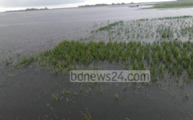 হাওরবাসীর দুর্যোগ নিয়ে তামাশা করবেন না