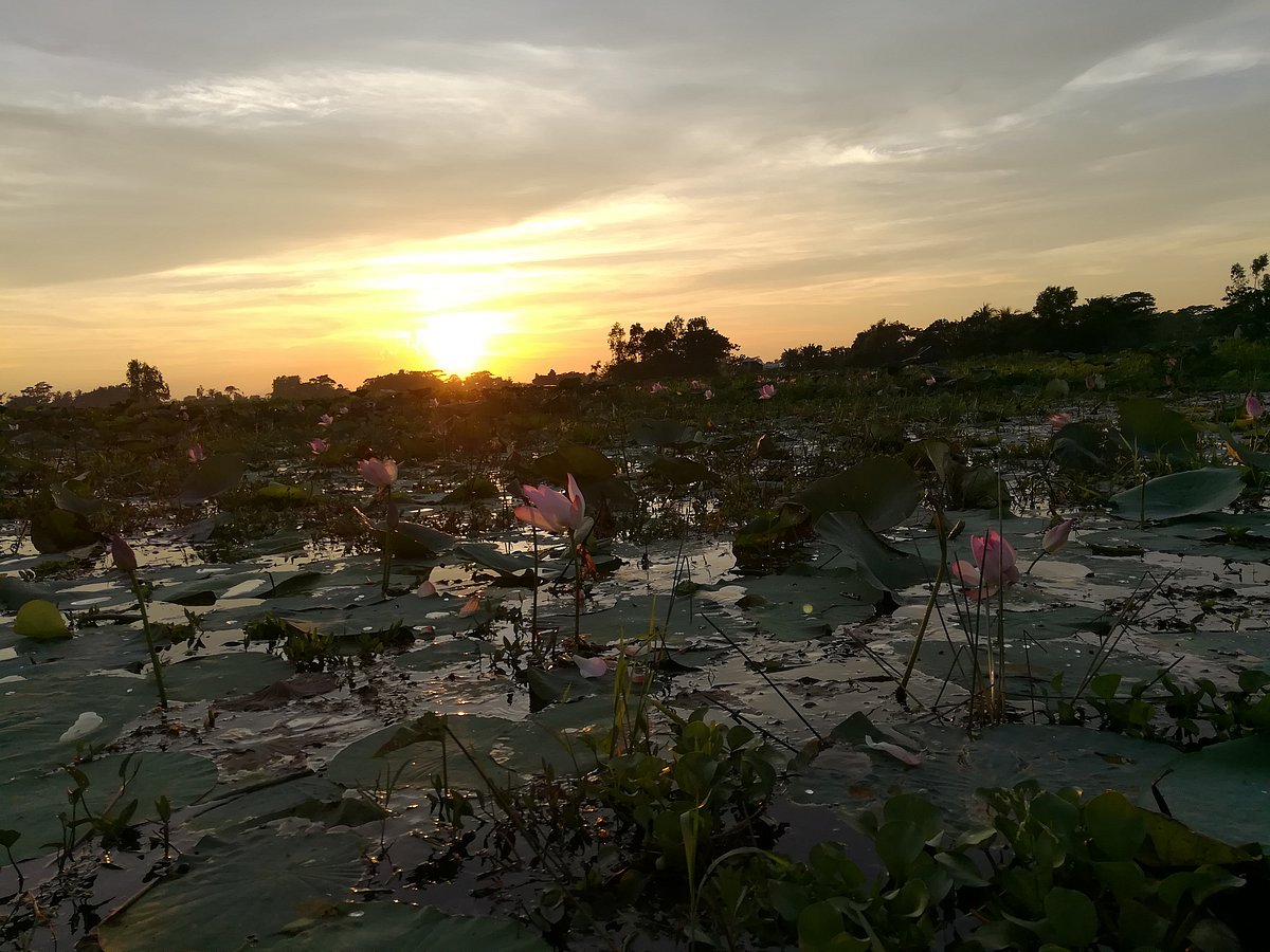 পদ্ম বিল