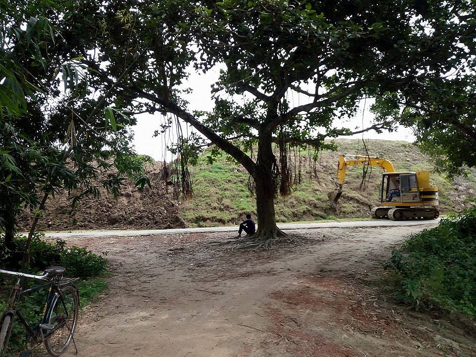একটি গাছ ও এক যুবকের লড়াই