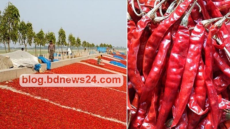 বগুড়ায় গেলে যা না খেলেই নয়