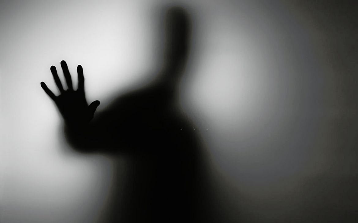 ভয়ের সংস্কৃতি
