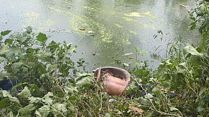 সিরাজগঞ্জে আহত আরও ২ পুলিশ সদস্যের মৃত্যু