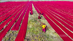 The hustle and bustle of making Lal Salu