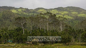 টেকনাফে পাহাড় থেকে বনকর্মীসহ ১৯ শ্রমিক ‘অপহৃত’