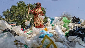 Unsung heroes of conservation