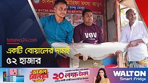 এক বোয়ালের ওজনই ১৮ কেজি