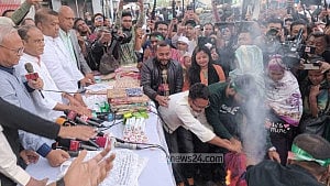ভারতীয় শাড়ি রাস্তায় এনে পোড়ালেন রিজভী