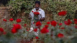 ফুলচাষির মুখে হাসি