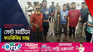 সেন্ট মার্টিনে ধরা পড়েছে ক্যারিবীয় অঞ্চলের ঢেঁকি মাছ