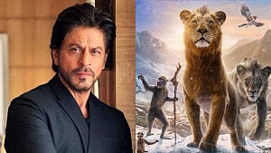'মুফাসা'র সঙ্গে নিজের জীবনের মিল পান শাহরুখ