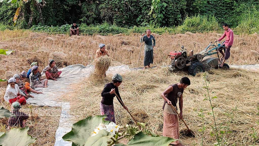 ক্যাপশন- বান্দরবান সদর উপজেলার কুহালং ইউনিয়নে এক কৃষকের জমিতে ধান কাটা শেষে মাড়াইয়ের কাজ চলছে। সহযোগিতা করছেন ‘শ্রম বিনিময়’ প্রথায় বিনা পারিশ্রমিকে শ্রম দিতে আসা লোকজন।
