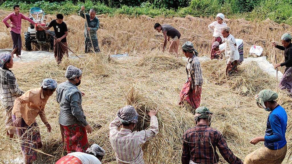 ক্যাপশন- ধান মাড়াই শেষে খড় তোলা কাজ করছেন ‘শ্রম বিনিময়’ প্রথায় বিনা পারিশ্রমিকে শ্রম দিতে আসা লোকজন।