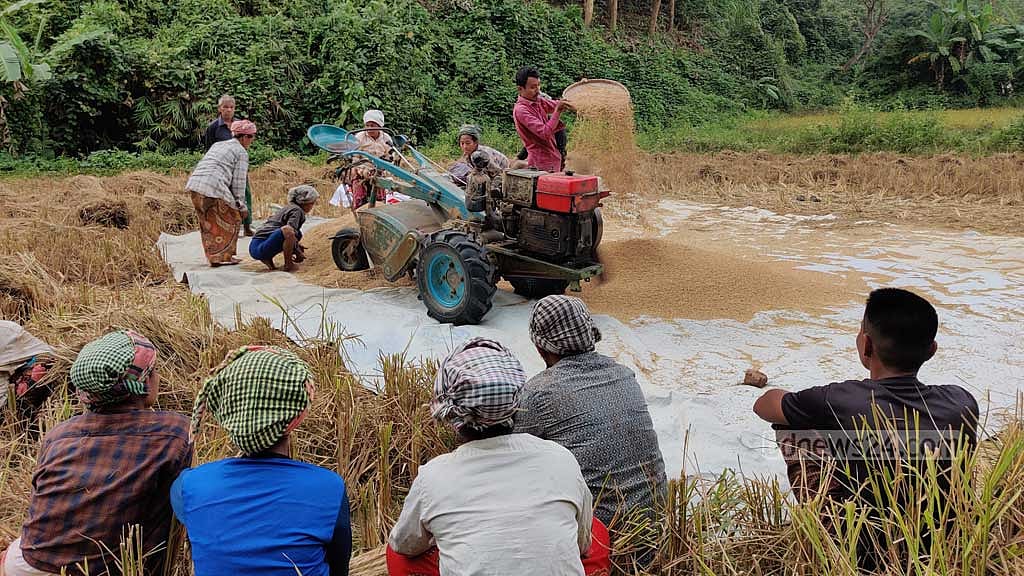 ক্যাপশন- মাড়াই শেষে ট্রাক্টরে পাখা লাগিয়ে ধান পরিষ্কার করে নেওয়া হচ্ছে। কাজ করছেন ‘শ্রম বিনিময়’ প্রথায় বিনা পারিশ্রমিকে শ্রম দিতে আসা লোকজন।