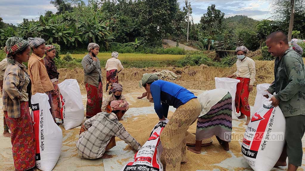 ক্যাপশন- মাড়াই শেষে বস্তায় ভরানো হচ্ছে আমন ধান। কাজ করছেন ‘শ্রম বিনিময়’ প্রথায় বিনা পারিশ্রমিকে শ্রম দিতে আসা লোকজন।