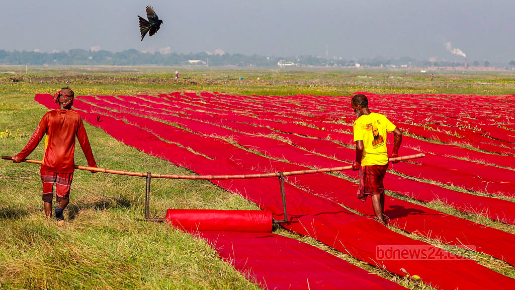Long rolls of Lal Salu are laid out in rows across the fields to dry in a special manner.