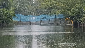 কুড়িগ্রামে বানের পানিতে ভেসে গেছে ৪ কোটি ৫৮ লাখ টাকার মাছ