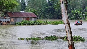 Flood alert in 4 northern districts