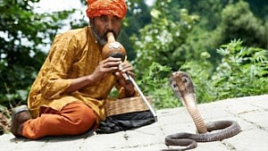 বরেন্দ্র অঞ্চলের সাপের সামাজিক ইতিহাস