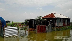 টাঙ্গাইলে অর্ধ লাখের বেশি মানুষ এখনও পানিবন্দি