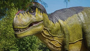 Dinosaur footprints found on Alpine cliffs near Winter Olympics