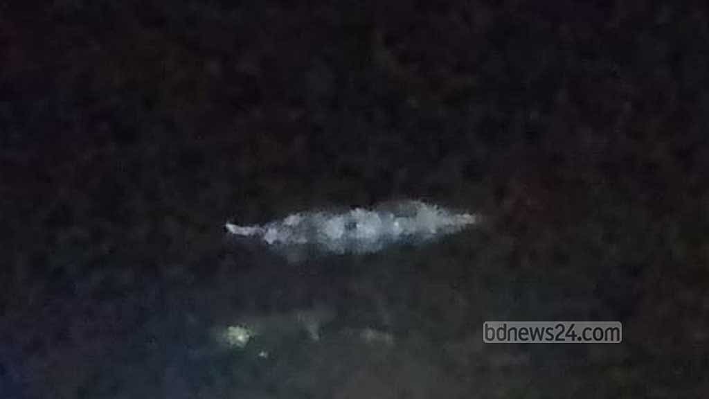 মৃত ডলফিন