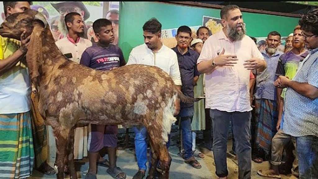এই সেই ১৫ লাখ টাকার ছাগল