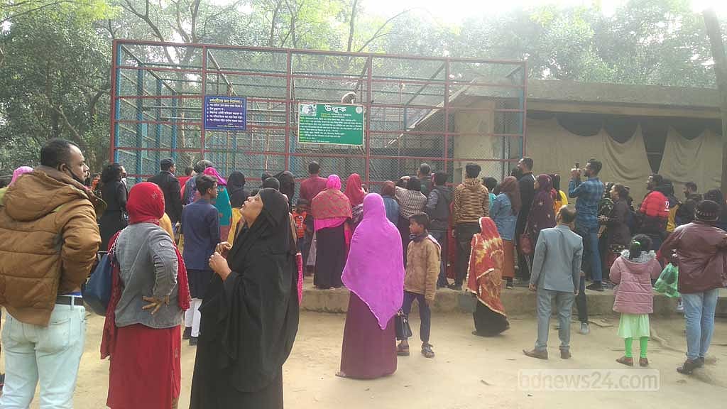 উৎসব ঘিরে চিড়িয়াখানায় ভিড় বাড়ে