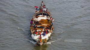 নদী পথে আসছে কোরবানির পশু