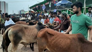 সমাজ-অর্থনীতির নানা মাত্রিকতায় যে ঈদ