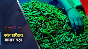 কাঁচা মরিচের দামে ঝাঁঝ, কমেছে ক্রেতা