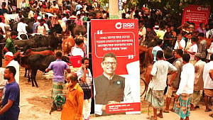 সিংড়ায় পশুর হাটে লেনদেন করা যাবে নগদে