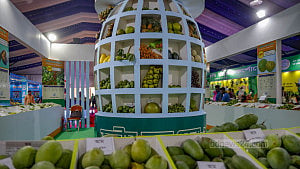 জাতীয় প্রদর্শনীতে দেখা গেল যত ফল