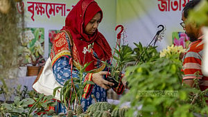 জাতীয় বৃক্ষ মেলা ২০২৪