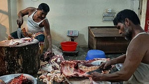 ঈদে গরু কেটে রাজ্জাক কামাবেন আড়াই লাখ