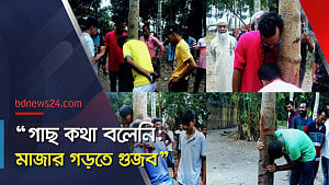 গাছ নিয়ে ‘গুজব’