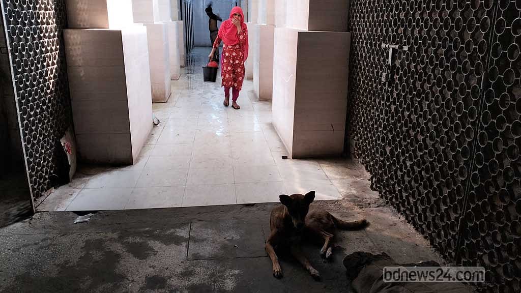 নাকে কাপড় চেপে শৌচাগার থেকে বের হচ্ছেন এক নারী। শৌচাগারের সামনেই বসে আছে কুকুর।