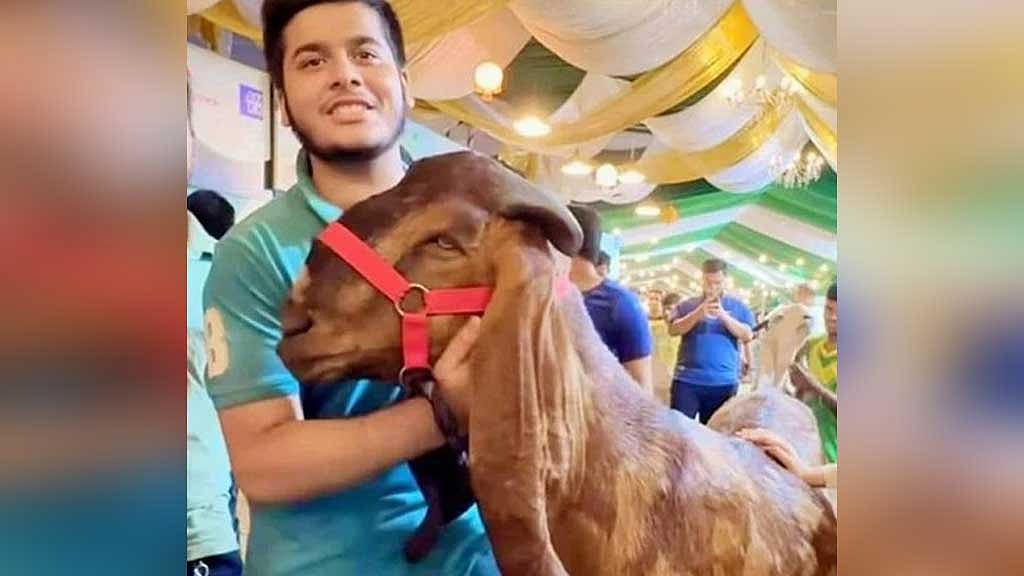 ১৯ বছরের তরুণ মুশফিকুর রহমান ইফাতের ১২ লাখ টাকায় ছাগল কেনার চুক্তির পর তার বাবা এনবিআর সদস্য মতিউর রহমান ও তার পরিবারের বিপুল সম্পদের তথ্য আসে গণমাধ্যমে। এরপর মতিউরকে সরিয়ে দেওয়া হয়। তিনি এখন লাপাত্তা।