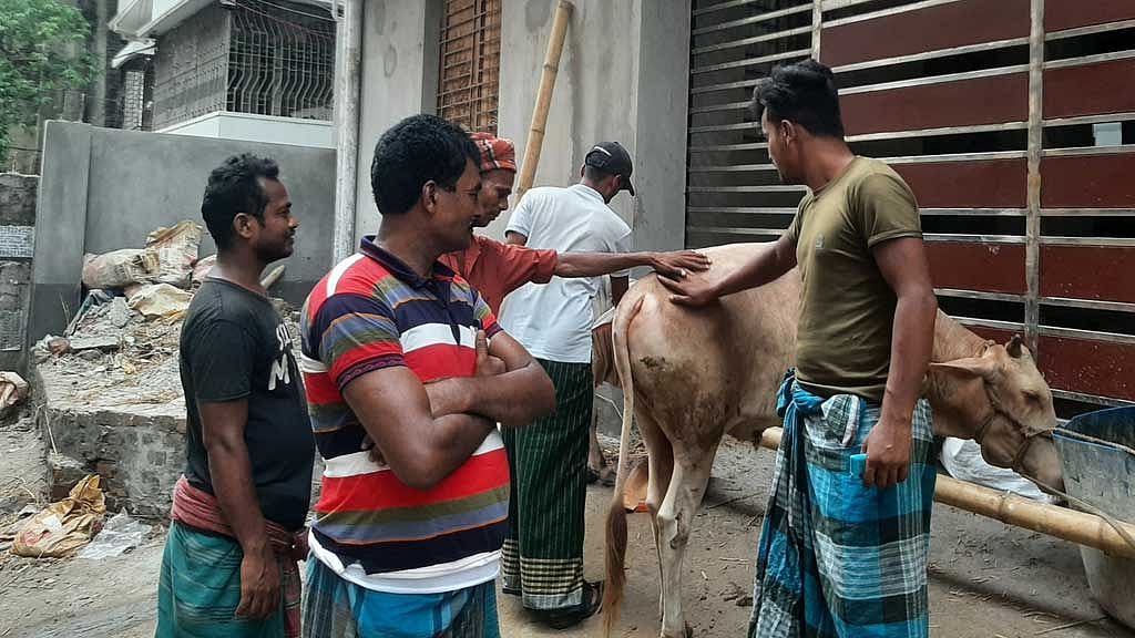 ঈদে গরু কাটাকাটির কাজ করতে এই দলটি ঢাকায় এসেছে শেরপুর থেকে। তারা তেজগাঁও এলাকার একটি গুদাম ঘরে উঠেছেন।