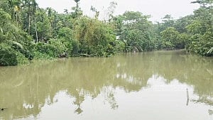 রেমাল: বরিশাল বিভাগে মৎস্য সম্পদের ক্ষতি ২১৭ কোটি টাকার বেশি