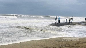 Will we survive without our climate?