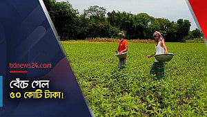দুই দিনের বৃষ্টিতে সাশ্রয় ৫০ কোটি টাকা
