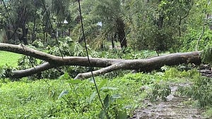 মাদারীপু‌রে ঝড়বৃ‌ষ্টি‌তে ভেঙে প‌ড়ে‌ছে গাছপালা-ঘরবা‌ড়ি, স্থ‌বির জনজীবন